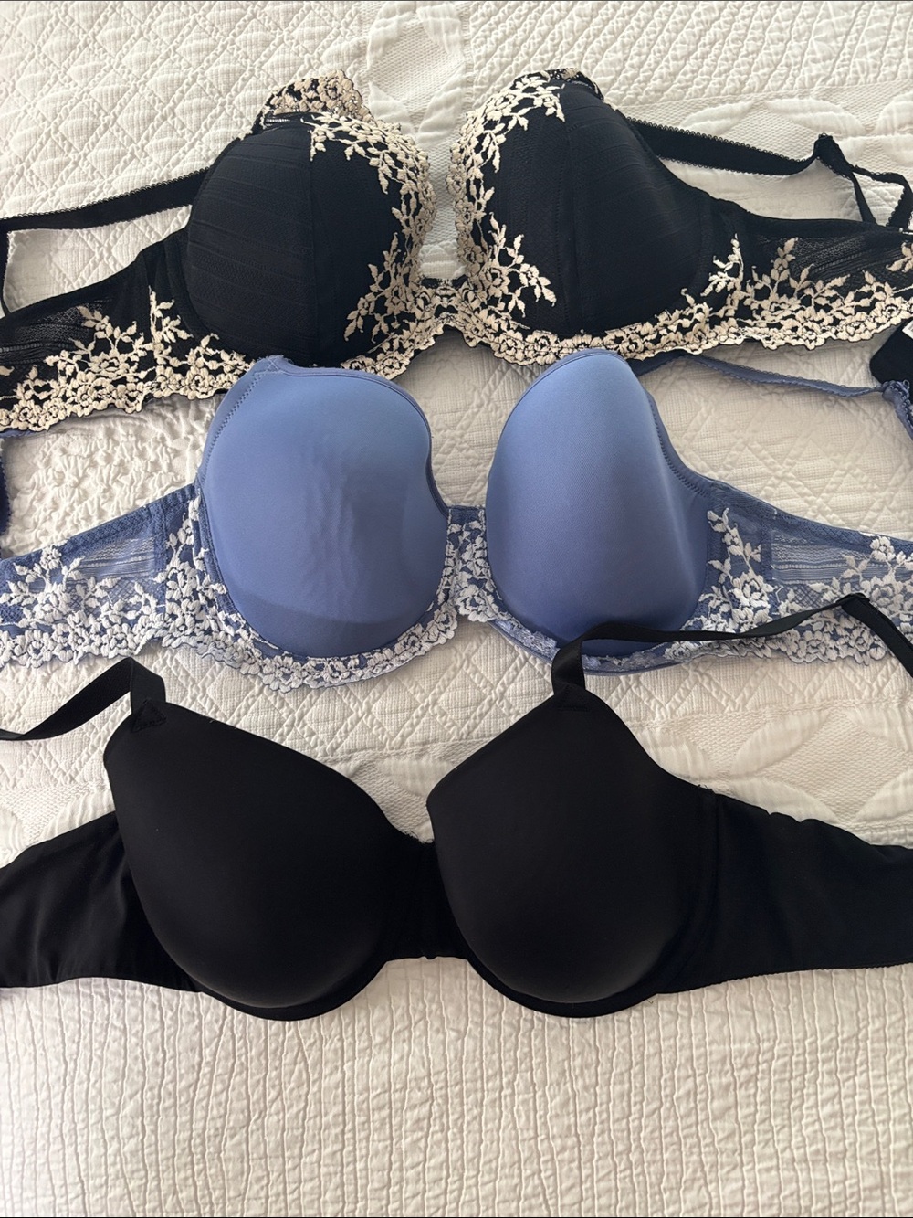 Wacoal 3-Pack Bras in Black, Periwinkle & Black Lace size 36D